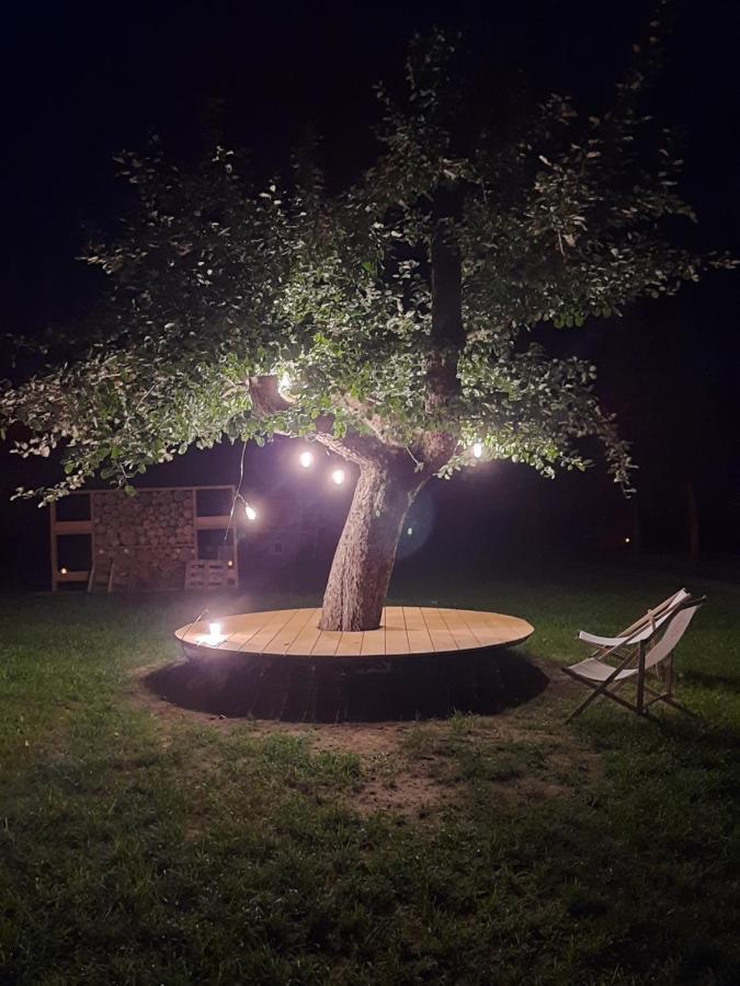 Ferienwohnung Dom Miodu I Wina Muszyna Exterior foto